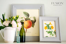 Load image into Gallery viewer, Fusion™ Mineral Paint﻿ | Pebble - Prairie Revival