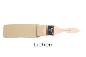 Fusion™ Mineral Paint﻿ | Lichen - Prairie Revival